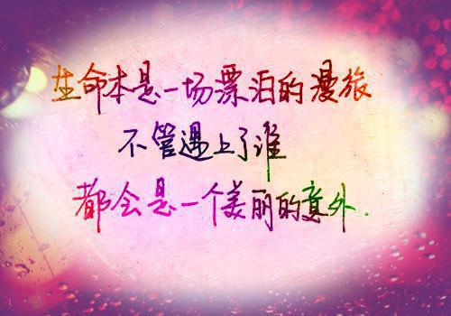 俞敏洪：成功的道路