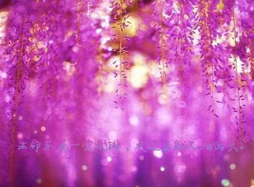 伤痕V的小说_真爱颂歌陆槐北吴心瑶小说阅读