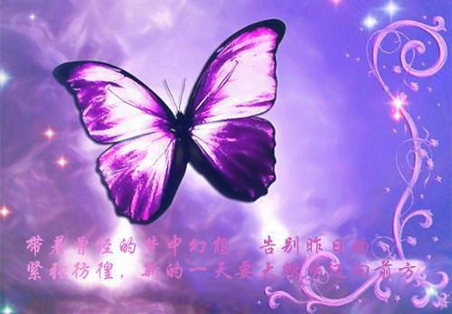 放爱一条生路
