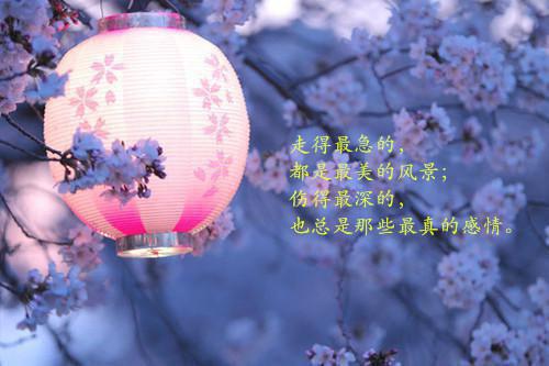 2023最感人的送别短信