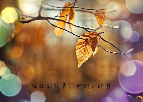 一种生命的震撼