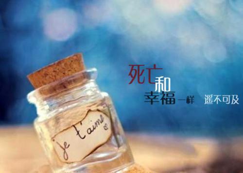 歌颂海散文