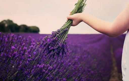 全文裴文轩柳如眉（我死后十年,儿子他杀疯了：+后续+番外）全文免费阅读无弹窗大结局_(裴文轩柳如眉)最新章节列表_笔趣阁（我死后十年,儿子他杀疯了：+后续+番外）