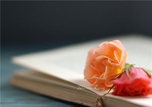 教师评语小学简短（精选5篇）