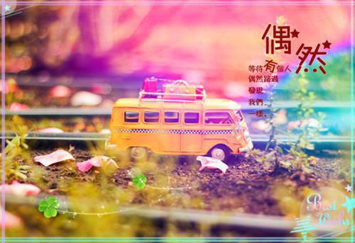 神秘小说家的小说_因为女儿的仓鼠死了，我决定取消婚礼遥遥许攸小说阅读