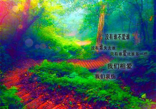 我的爱给谁都热烈：全文+后续+结局（苏以情沈聿川林清野）最新章节列表_我的爱给谁都热烈（苏以情沈聿川林清野）全文+后续+结局在线阅读