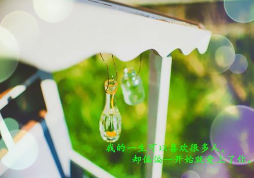 我很开心的小说岁岁朝朝不相负柯念念顾丞磊全文阅读