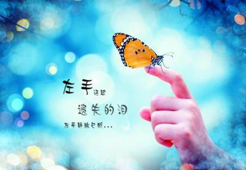 你放过我,我也成全你江聿风小说_你放过我,我也成全你完结版阅读