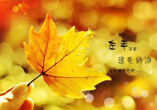 祝贺幼儿园开业贺词