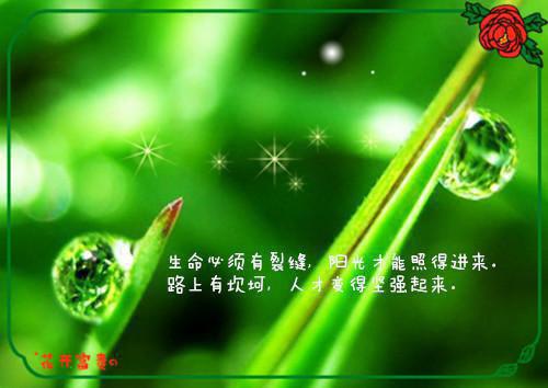 快乐的告别仪式顾芷沈媛完结版全章节阅读