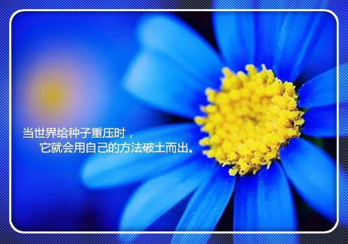 2023最励志的句子短句