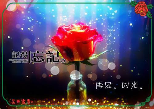 让老婆听了感动的话