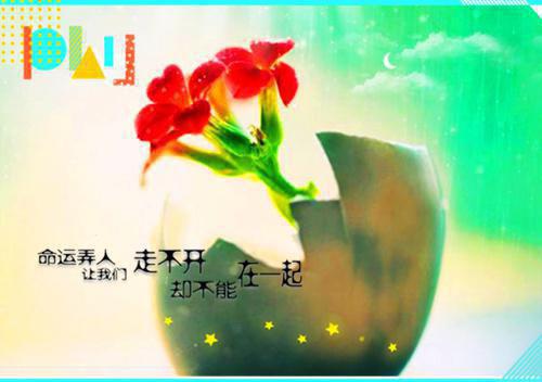 关于春天的抒情散文推荐
