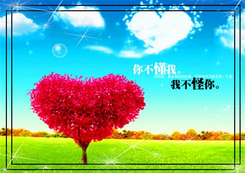 杨舟席肖晴雨免费杨舟席小说全文免费阅读