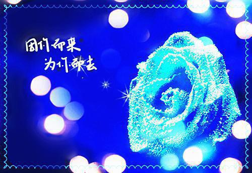 王明月的小说闪婚七零，她风靡家属院王明月全文阅读