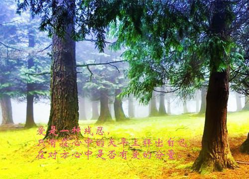 (雪落再说爱你:结局+番外)全本资源(周京泽宋南夕万阅)全文免费阅读无弹窗大结局_雪落再说爱你:结局+番外最新章节列表_笔趣阁周京泽宋南夕万阅