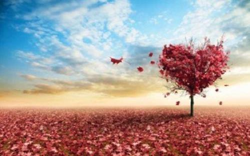 宋疏疏江璟序傅司屿宋疏疏小说_宋疏疏江璟序傅司屿免费阅读