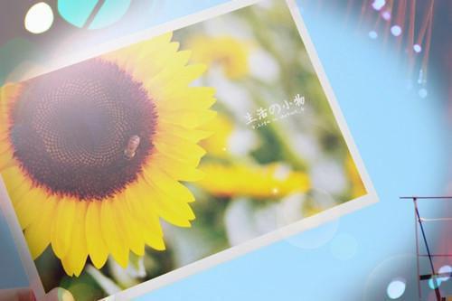 宝宝对幼儿园评语（精选19篇）