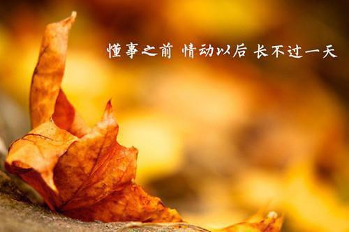关于店铺开业祝福语汇总