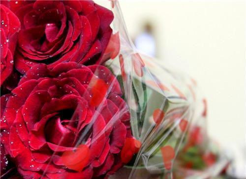 (番外)+(结局)流年深深深几许阮流苏：结局+番外（阮流苏周容川）全文免费阅读无弹窗大结局_(流年深深深几许阮流苏：结局+番外)最新章节列表_笔趣阁（阮流苏周容川）