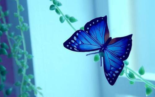 红尘有你,云淡风轻