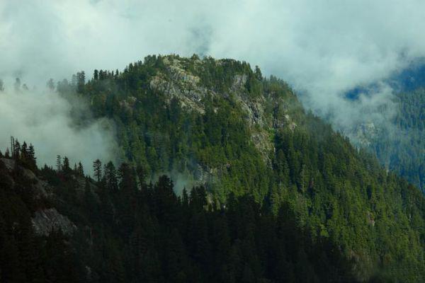 疏雨梧桐浅月朦胧：完结+无广告荃文+置顶（孟祈年周晓晚）全文免费阅读无弹窗大结局_（孟祈年周晓晚）最新章节