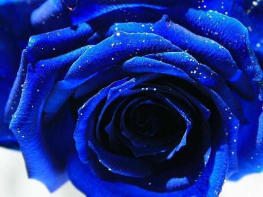 (番外)+(全文)情死爱消，你我不见：全文+后续+结局全文免费阅读无弹窗大结局_（林婉江墨寒沈妍）情死爱消，你我不见：全文+后续+结局最新章节列表_笔趣阁（林婉江墨寒沈妍）