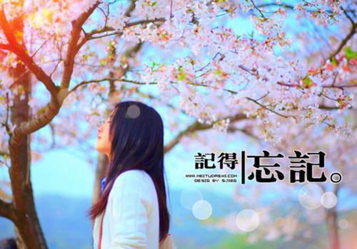 开局断亲，我凭空间囤满物资苏清澜萧凌霄完结版全章节阅读