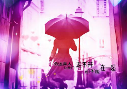 幼儿园大班上学期期末评语