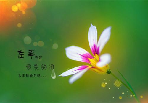 有关小弟结婚姐姐的祝福语