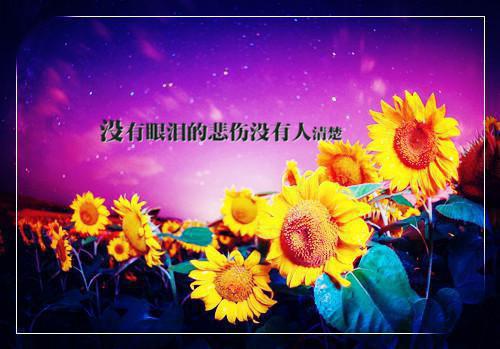 幼儿园中班班主任评语集汇