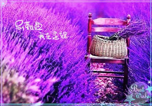 失望和心凉的个性签名 内心很压抑的签名合集