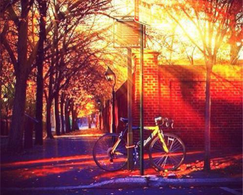 林深不知云海免费全文阅读 林深不知云海许云琛裴馥雪章节阅读小说林深不知云海许云琛裴馥雪全文第林深不知云海免费阅读小说林深不知云海许云琛裴馥雪完结版全文免费阅读