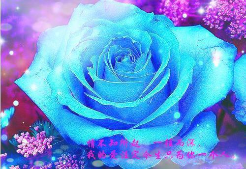微信情侣个性签名简短唯美2023 为了爱你说尽一切甜言蜜语