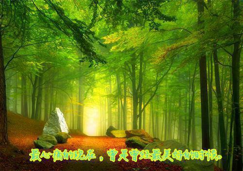 (番外)+(全文)烟花易冷负情深：结局+番外(沐清瑶宋墨寒)全文免费阅读无弹窗大 结局_(烟花易冷负情深：结局+番外免费阅读全文大结局)最新章节列表_笔趣阁(烟花易冷负情深：结局+番外)