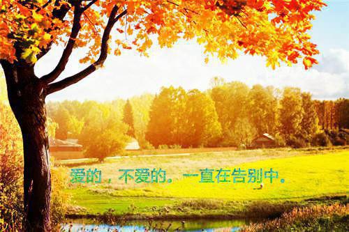 2023年元宵节给家人的经典祝福短信