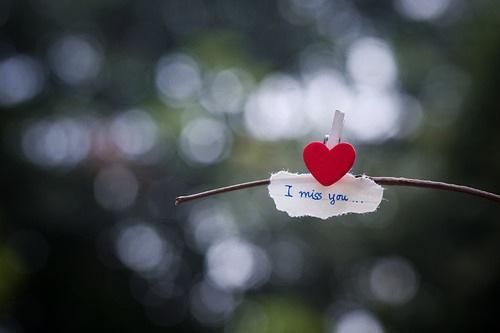 (番外)+(全文)春风不慕你:结局+番外+完结(夏翩然傅易之)全文免费阅读无弹窗大结局_春风不慕你:结局+番外+完结最新章节列表_笔趣阁(夏翩然傅易之)