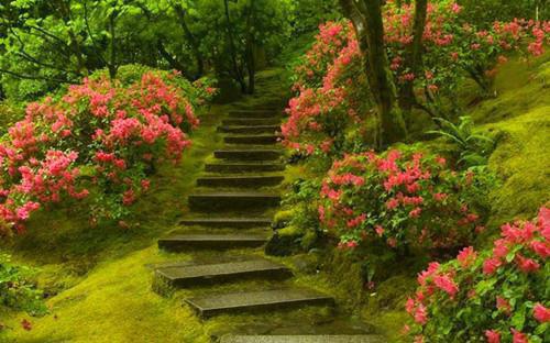 小学生五年级优秀学生评语（精选8篇）