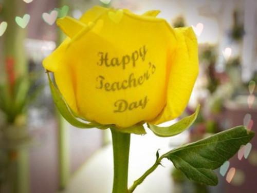 珍惜友情的格言