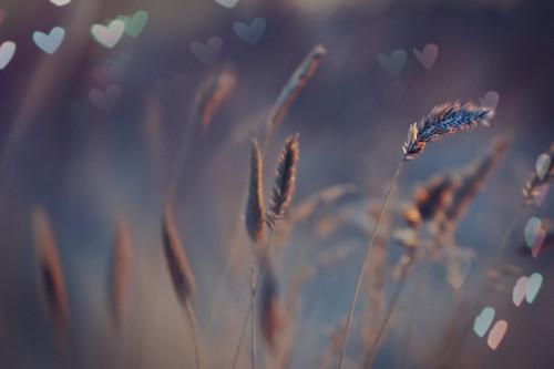 姜慕情驰南奕驰砚舟结局+番外：如果你要写遗憾小说全文免费阅读无弹窗大结局_姜慕情驰南奕驰砚舟全文最新章节列表_笔趣阁（如果你要写遗憾：结局+番外）