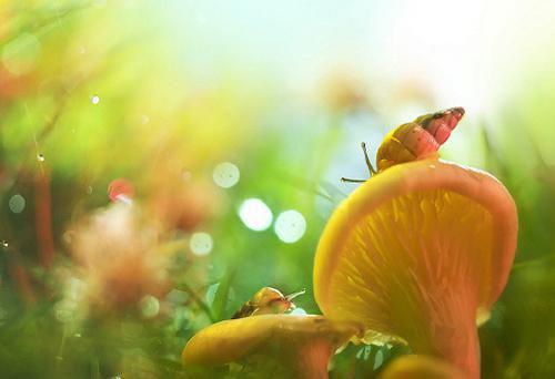 关于期末评语（精选30篇）