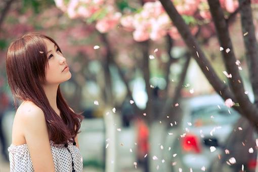 恰逢暮雪又白头全文：结局+番外_江清雾季晏离免费阅读无弹窗大结局_（恰逢暮雪又白头全文：结局+番外）江清雾季晏离最新章节列表_笔趣阁（江清雾季晏离）