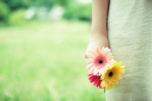 温时宁裴砚止：+后续+番外已完结小说（温时宁裴砚止）最新章节_温时宁裴砚止：+后续+番外已完结小说