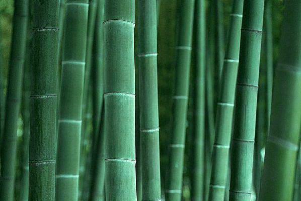 她于江海深处坠落(宁雪傅临洲:全文+番外)完结阅读无弹窗大结局_(宁雪傅临洲)最新章节列表_笔趣阁(她于江海深处坠落:全文+番外)