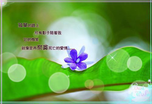 最新的生日快乐祝福短信大全
