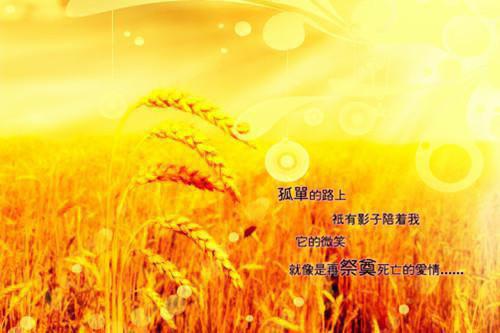 夏季推荐八部励志型减肥电影