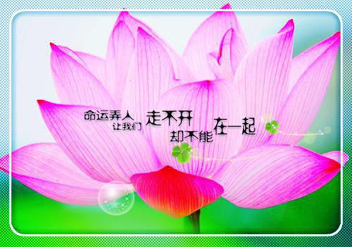回忆父爱的句子