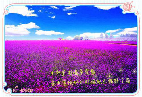 高中有关成功的记叙文精选集