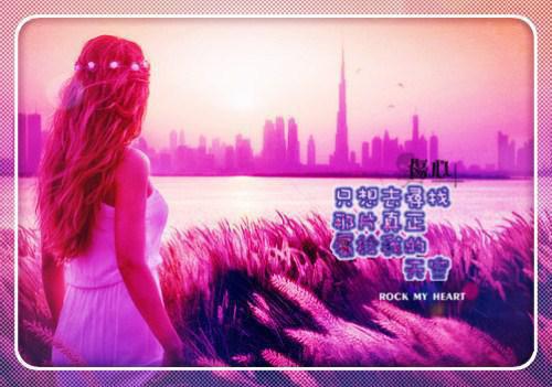 薄雨收寒斜弄晴免费白宛若完结版全章节阅读