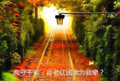 春节对联七字联内容大全